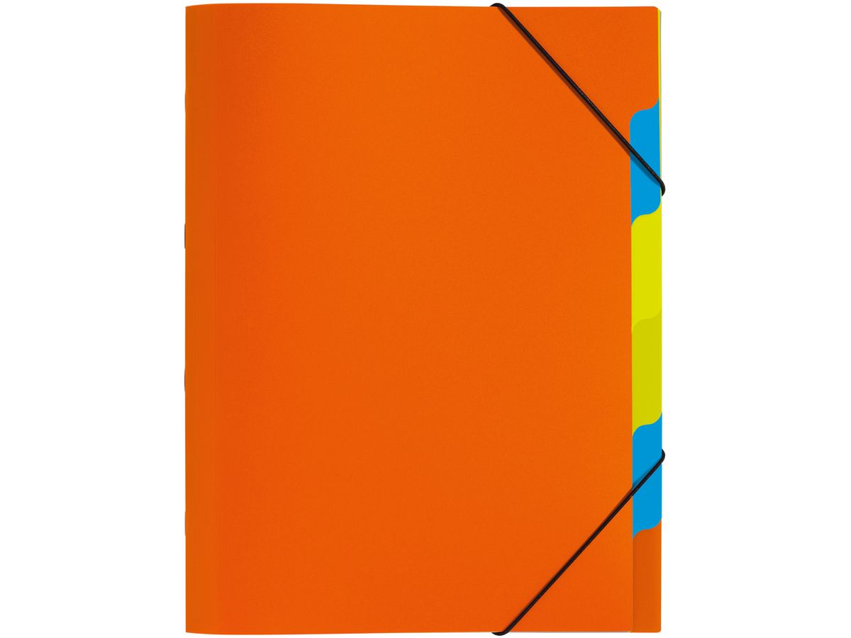 PAGNA Ordnungsmappe A4 41803-09 orange 5-teilig (4009212041746)