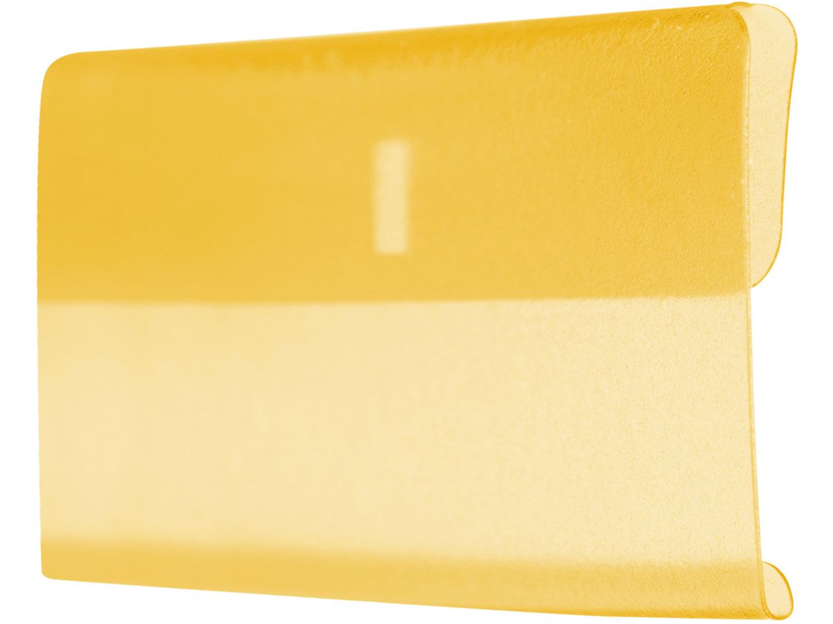 BIELLA Custodie trasparente 60x30cm 27360220U giallo 25 pez. (7611365219087)