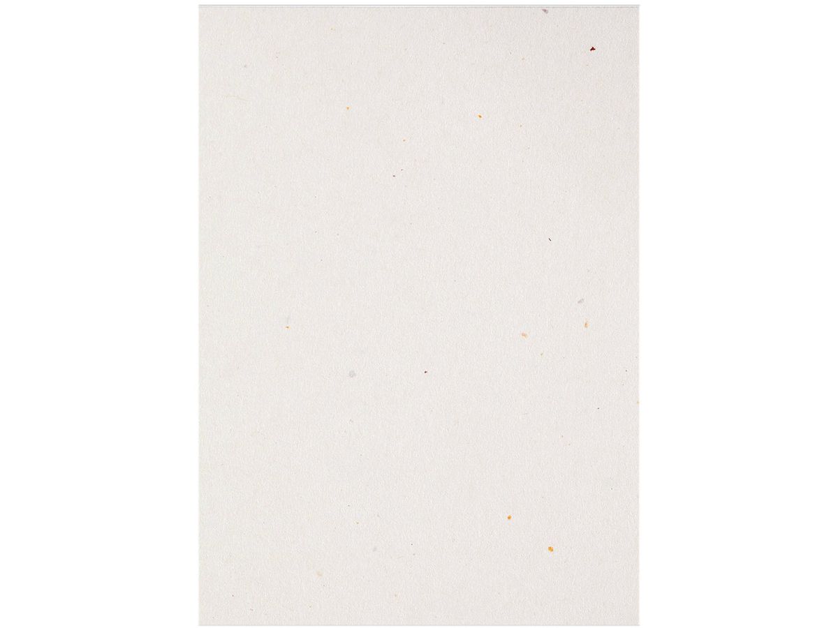 ARTOZ Karten 1001 A4 19269614-242 216g, tortilla 5 Blatt (7612996824589)