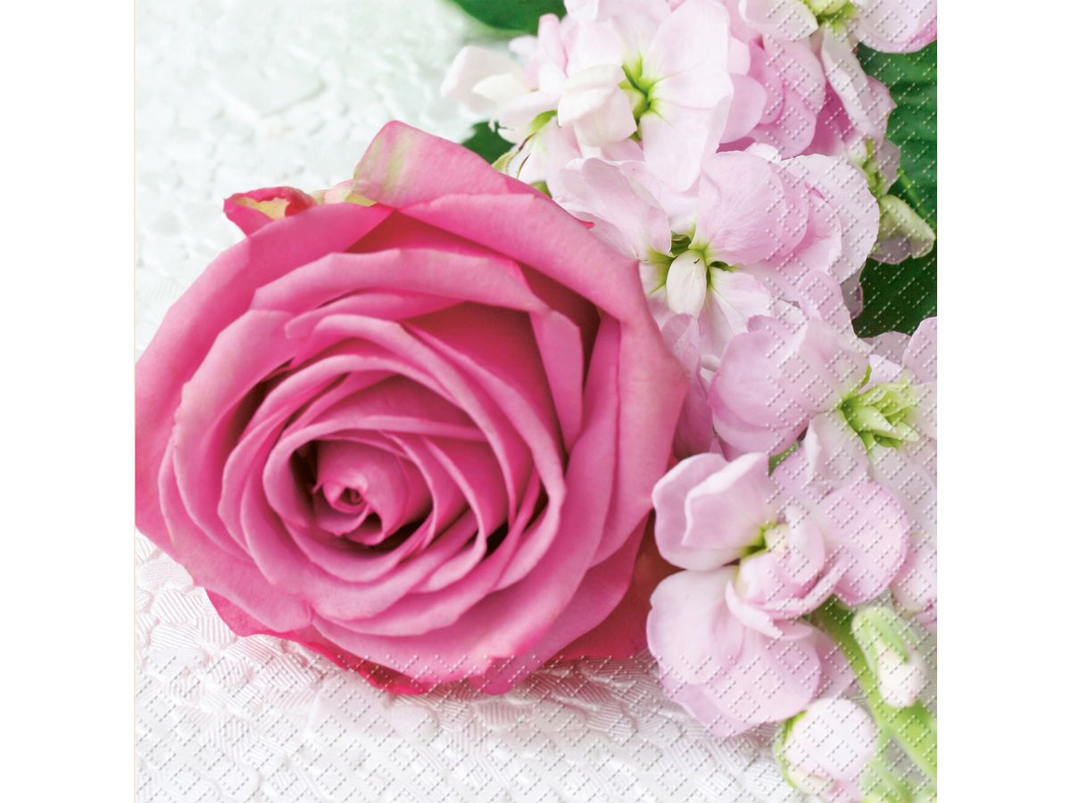 STEWO Serviette Vanessa 33x33cm 2572621128 pink 20 Stück (7630050800430)