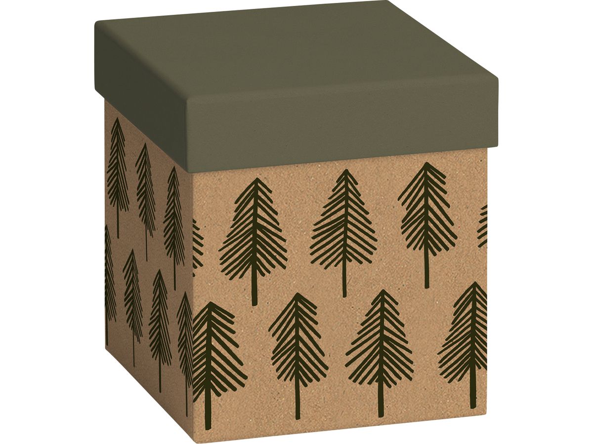 STEWO pacco regalo 2551539796 Weren 110x110mm (7630050862360)