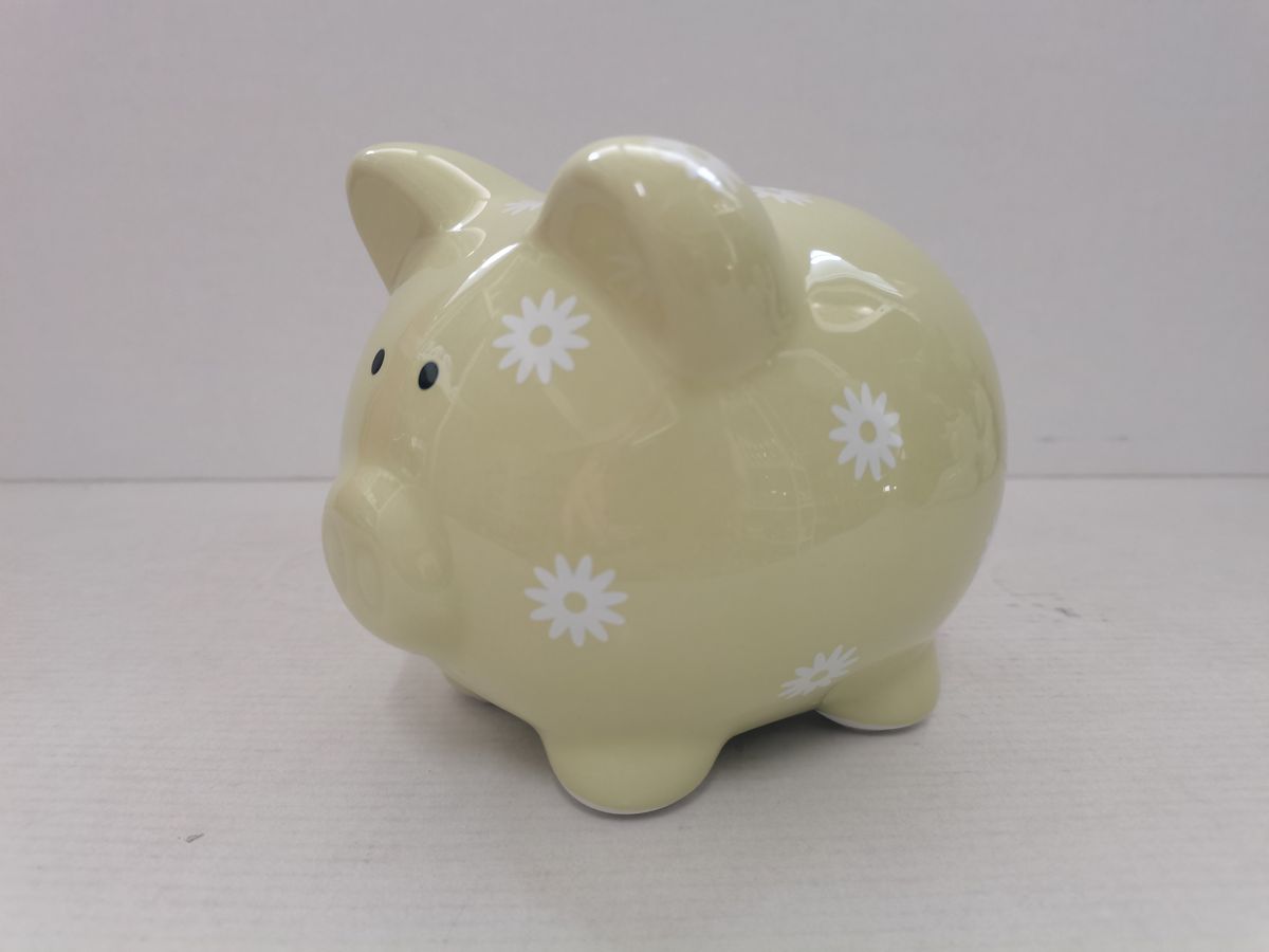 ROOST Sparkasse 13.5x10.7x11.5cm TG210033H Schwein beige (7613532080773)