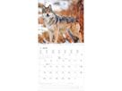 ALPHA EDITION Bildkalender 2026 160301 Wölfe ML 30x30cm (4069095003019)