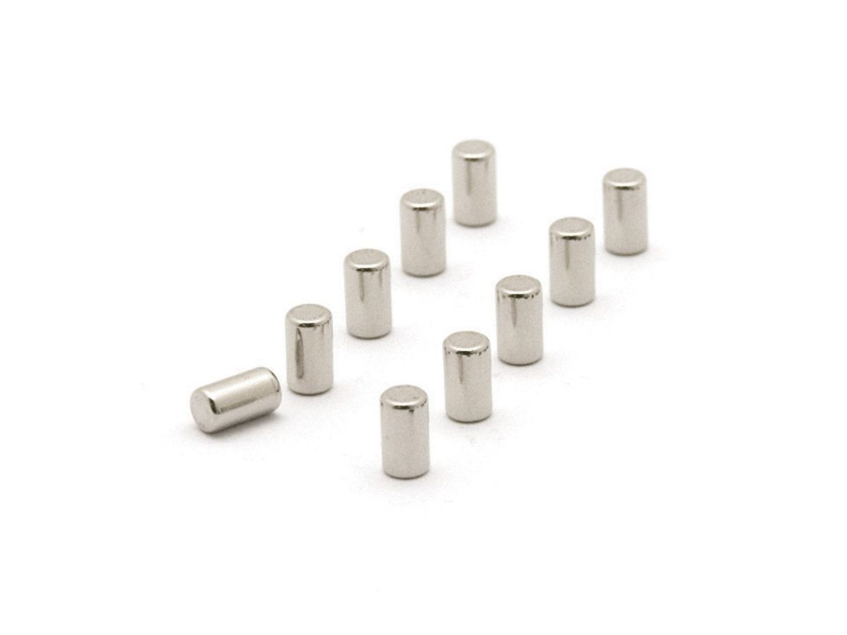 TRENDFORM Magnete MAGNUM TF30B 10er Set silber (7640111232049)