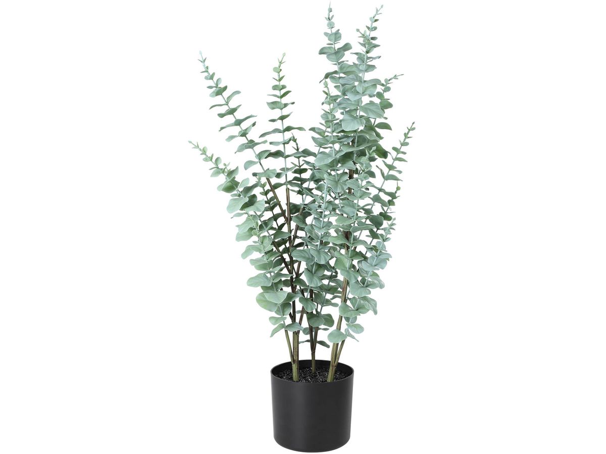 EGLO Pianta artificiale 76cm 428378 verde, in vaso (9008606326860)