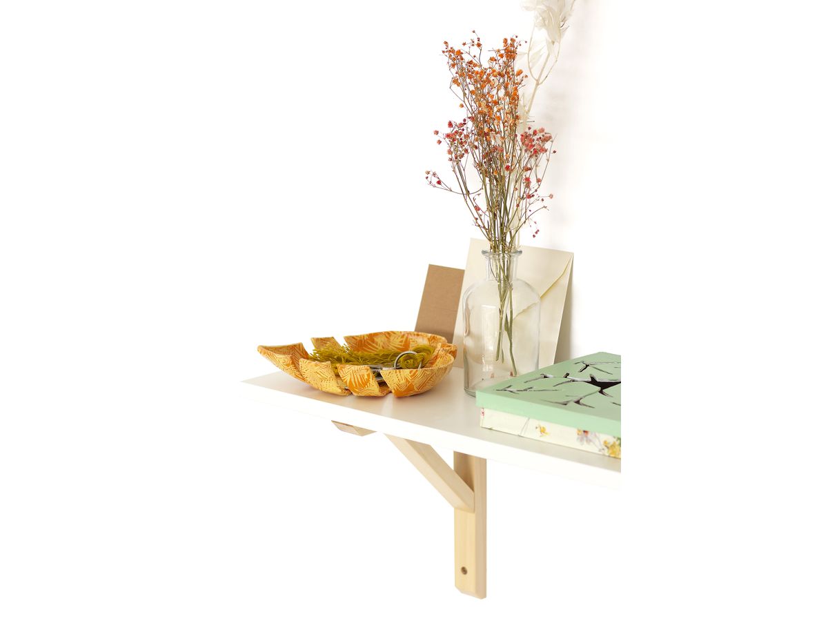 DECOPATCH Forme d'art. feuille trop. AC882C 18x15x2.5cm (3609510008826)