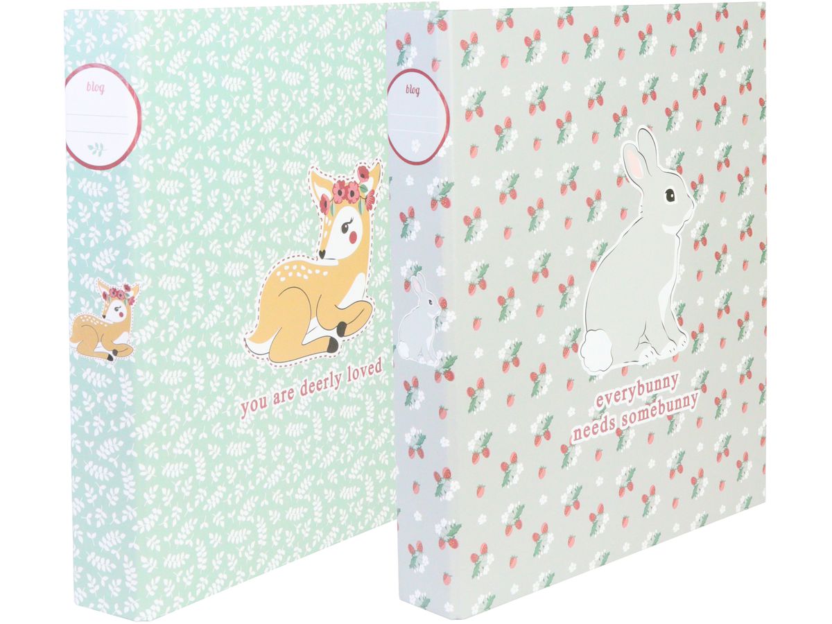 ANCOR Class. ad anelli Sweet friends 111200 colorato 2 Ring A4 (5604730111200)