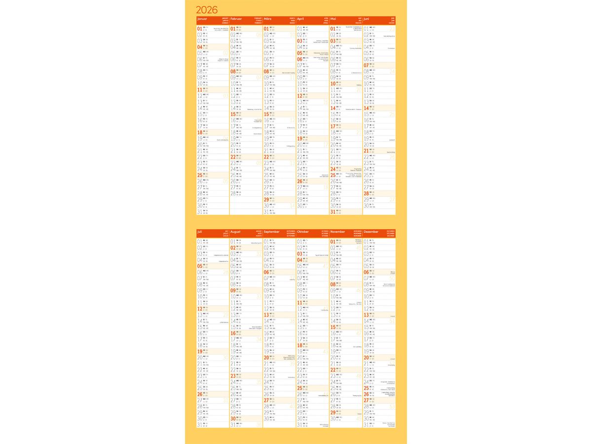 ACKERMANN Calendrier 2026 4627 No Drama, Lama ML 30x30cm (9783838446271)