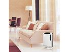 FELLOWES Luftreiniger Aeramax DX55 9393501 Aktivkohle, True-HEPA (0043859664658)