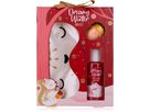 ACCENTRA Badeset Geschenkbox 100ml 6058193 DREAMY WINTER (4015953699634)