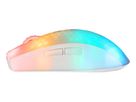 DELTACO Lightweight Mouse Wirel.RGB GAM-145-W Semi-Transparent, WM89,White (7333048058621)