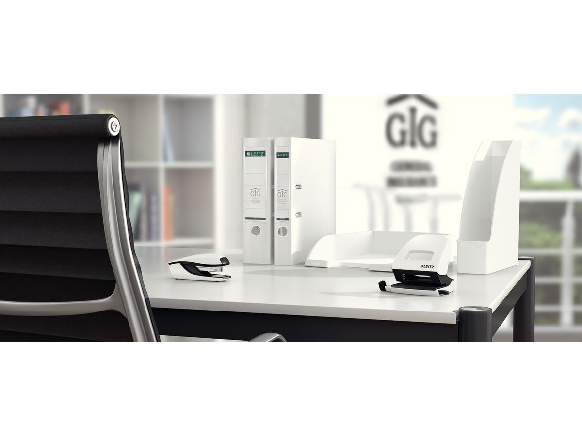 LEITZ Stehsammler 24760001 weiss (4002432305476)