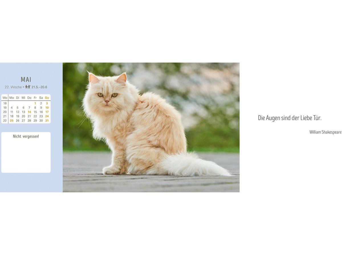 HARENBERG Pultkalender 2026 3310235+26 Katzen 29.9x11.1cm (9783840038020)
