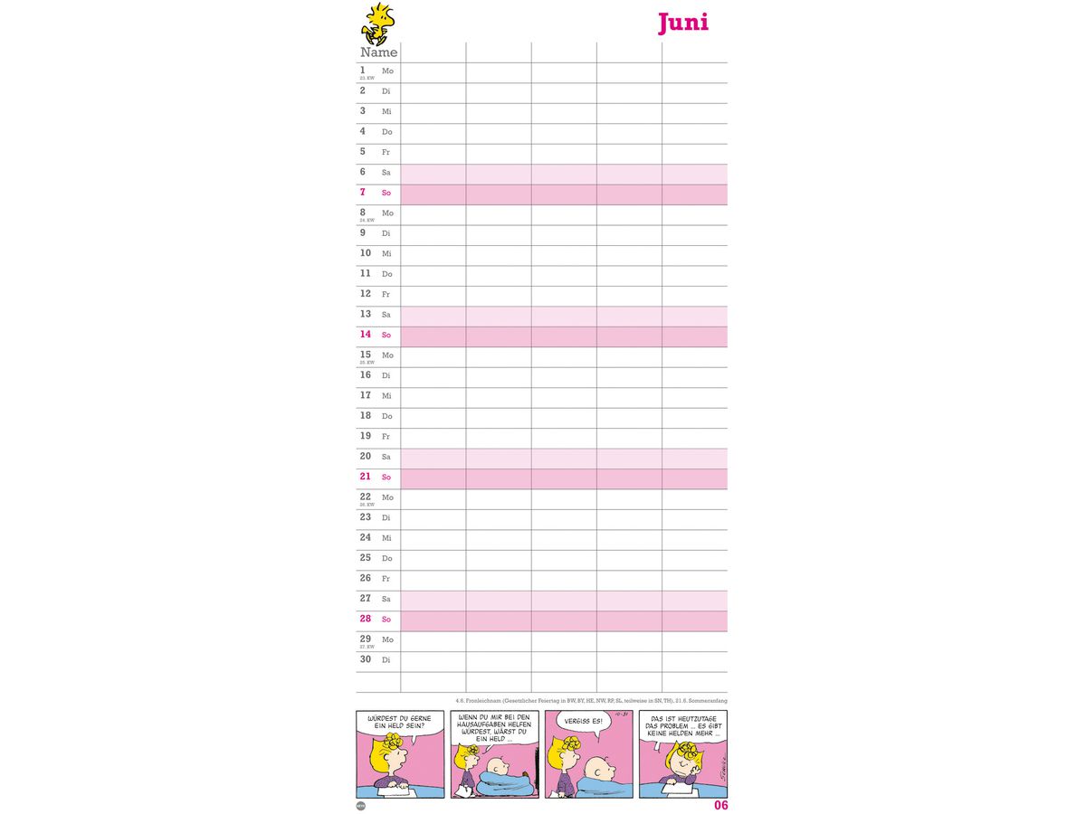 HEYE Familienplaner Peanuts 2026 1589+26 1M/1S DE 5 Spalten 21x45cm (9783756409709)