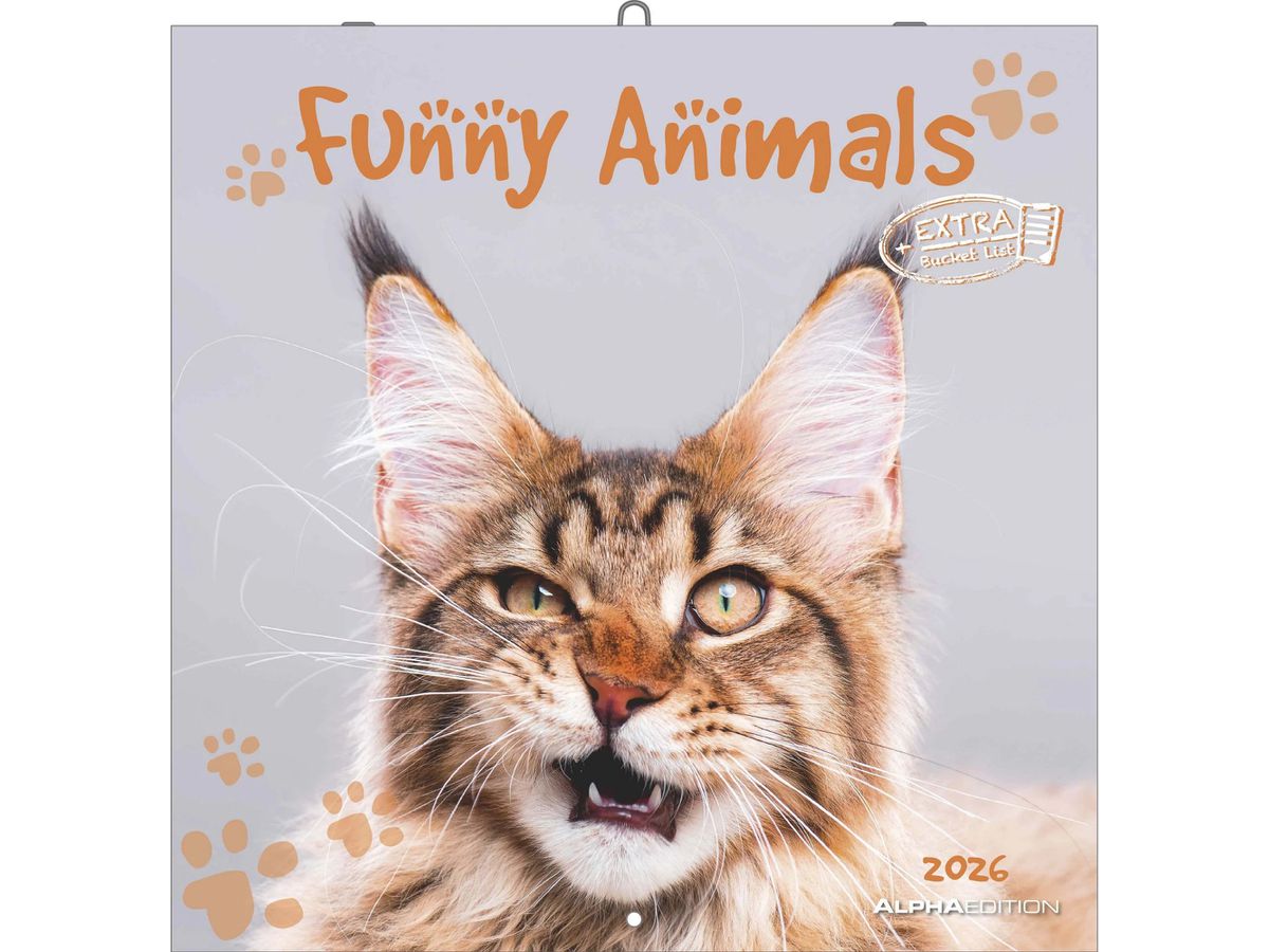 ALPHA EDITION Bildkalender 2026 160630 Funny Animals ML 30x30cm (4069095006300)