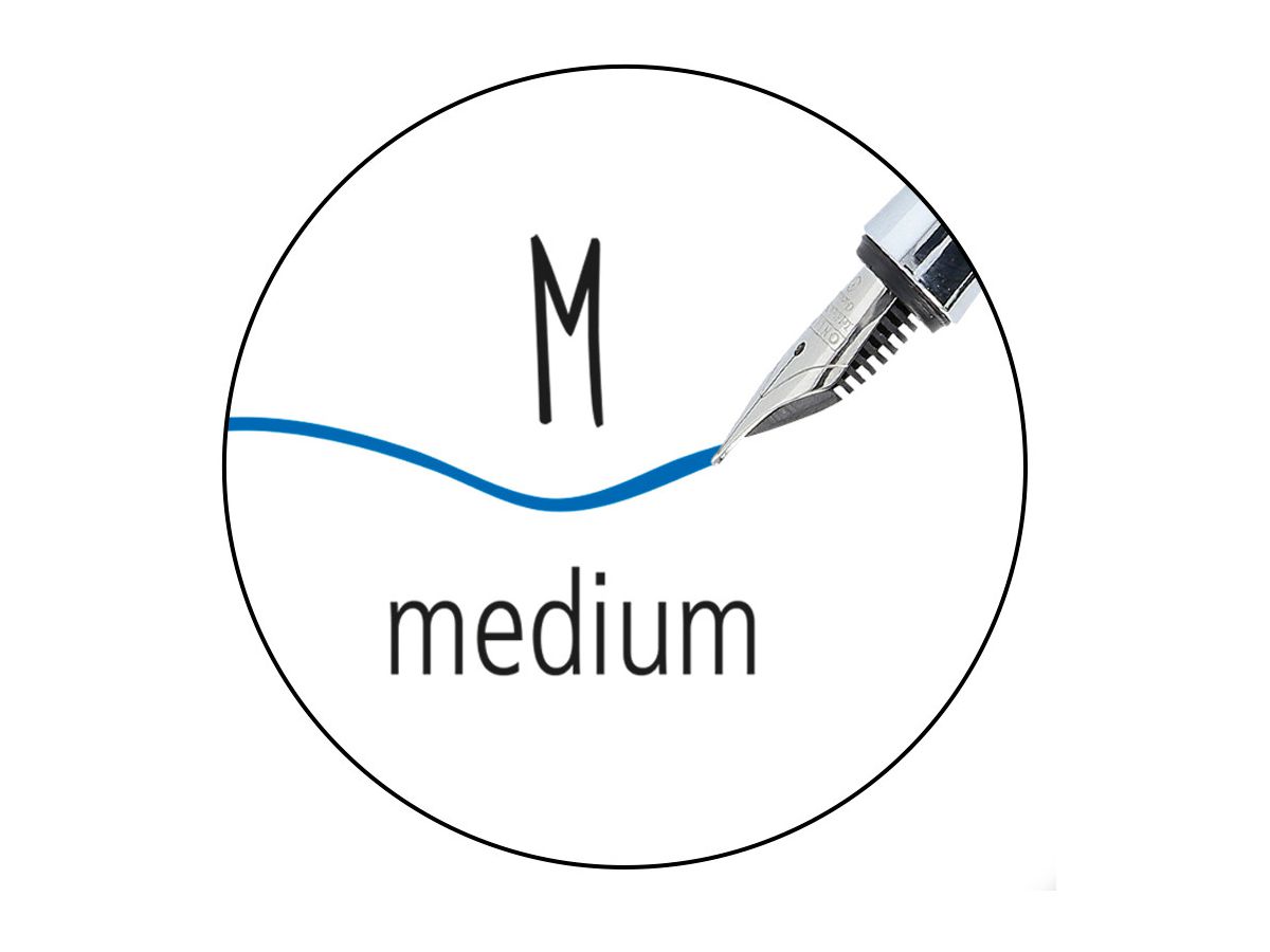 ONLINE Füllhalter mit Kombipatrone M 54123/3D Bachelor Ice (4014421541239)