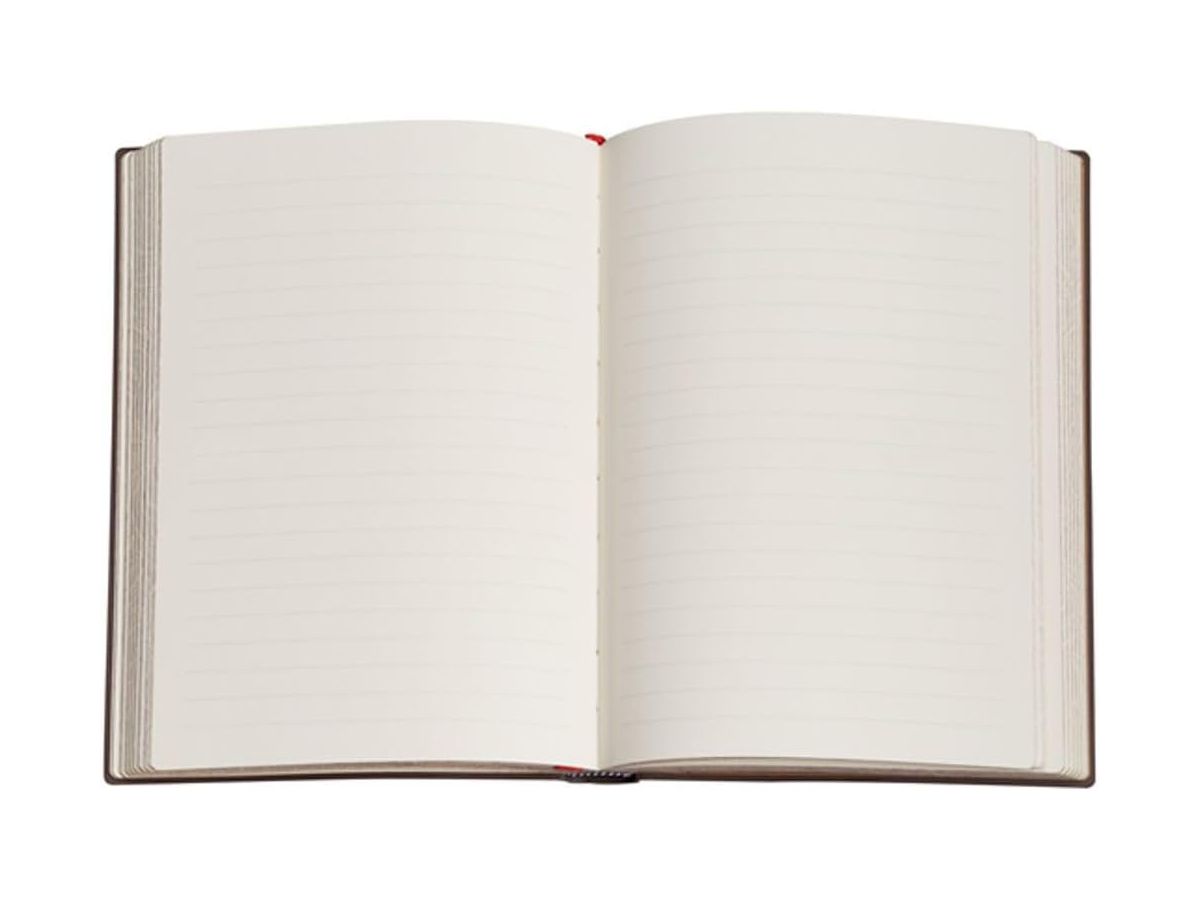 PAPERBLANKS Carnet Stephen King Ultra PB9981-9 Carrie, blanco 144 p. (9781439799819)