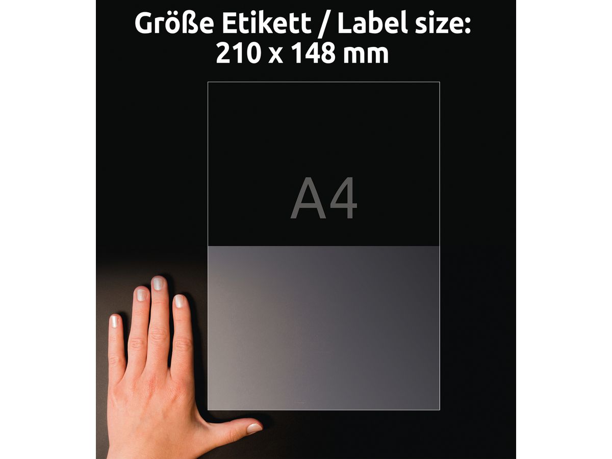 AVERY ZWECKFORM Étiquettes L8012-10 Antimic. 210x148mm transp. (4004182380123)