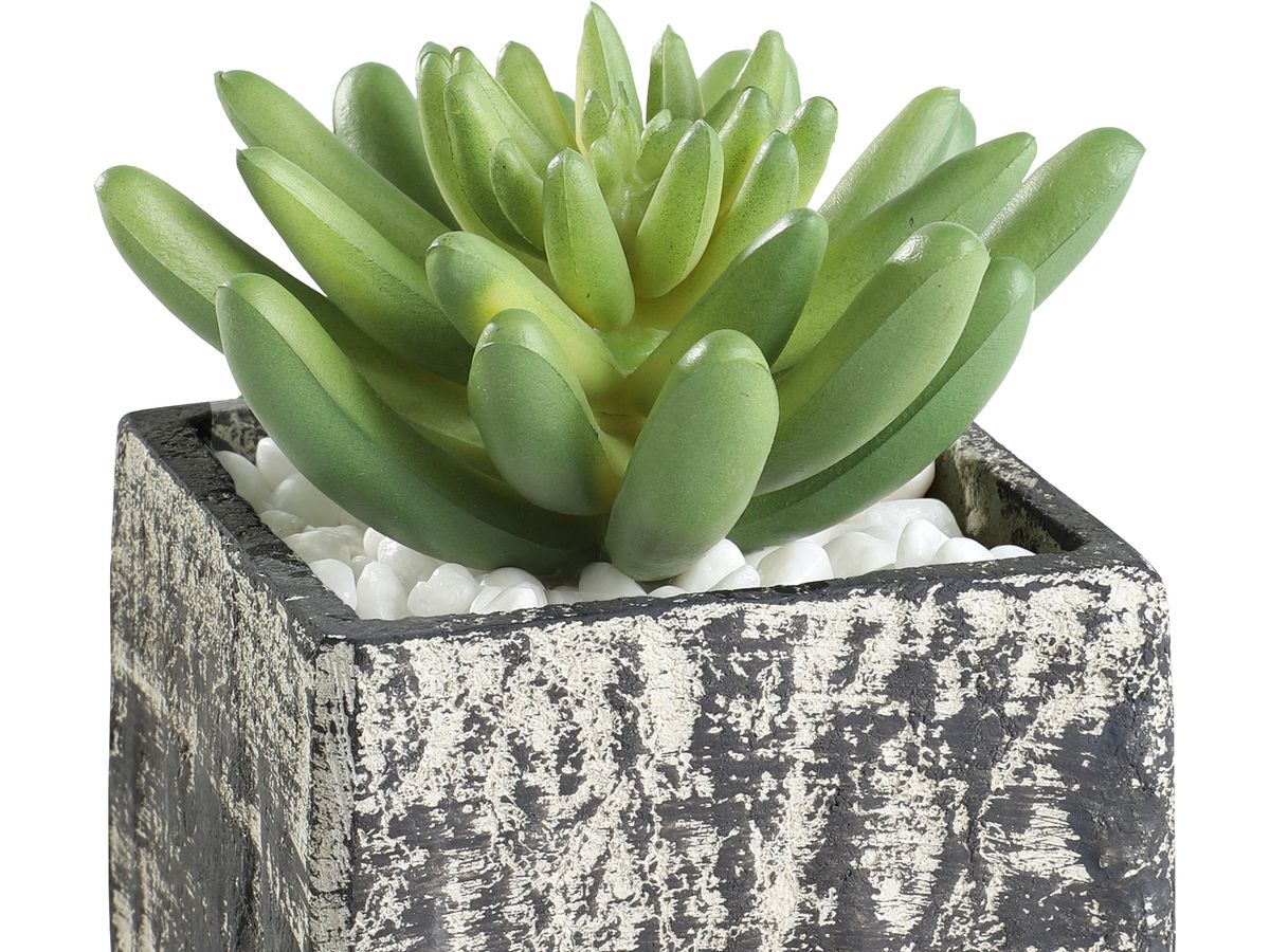 EGLO Plante artificielle 12cm 428007 vert, en pot (9008606253272)