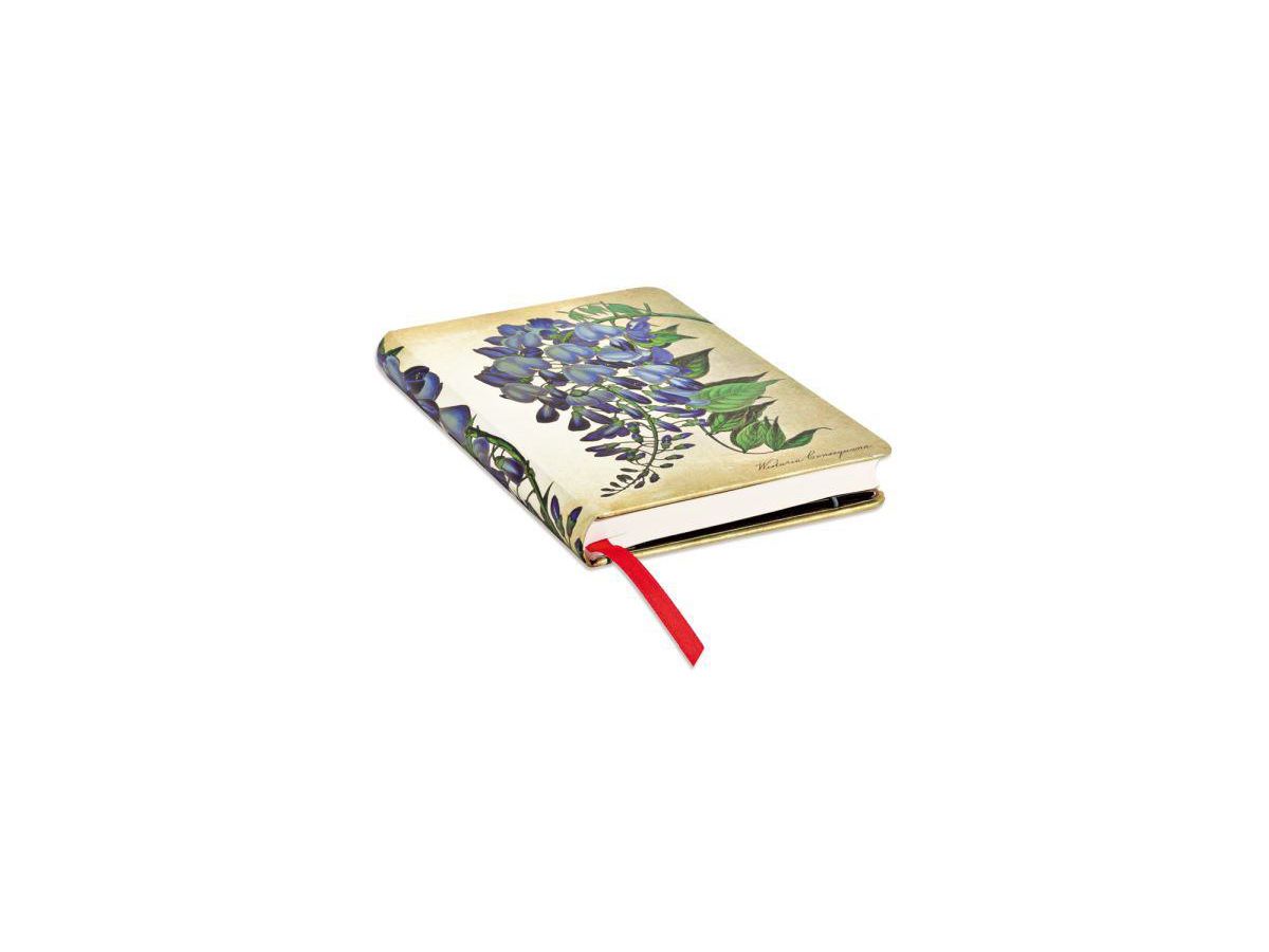 PAPERBLANKS Notizbuch Glyzinie PB3571-8 Mini, liniert 176 Seiten (9781439735718)