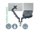 LEITZ Monitorarm ERGO 6538-00-89 grau, inkl. Laptophalter (4002432134700)