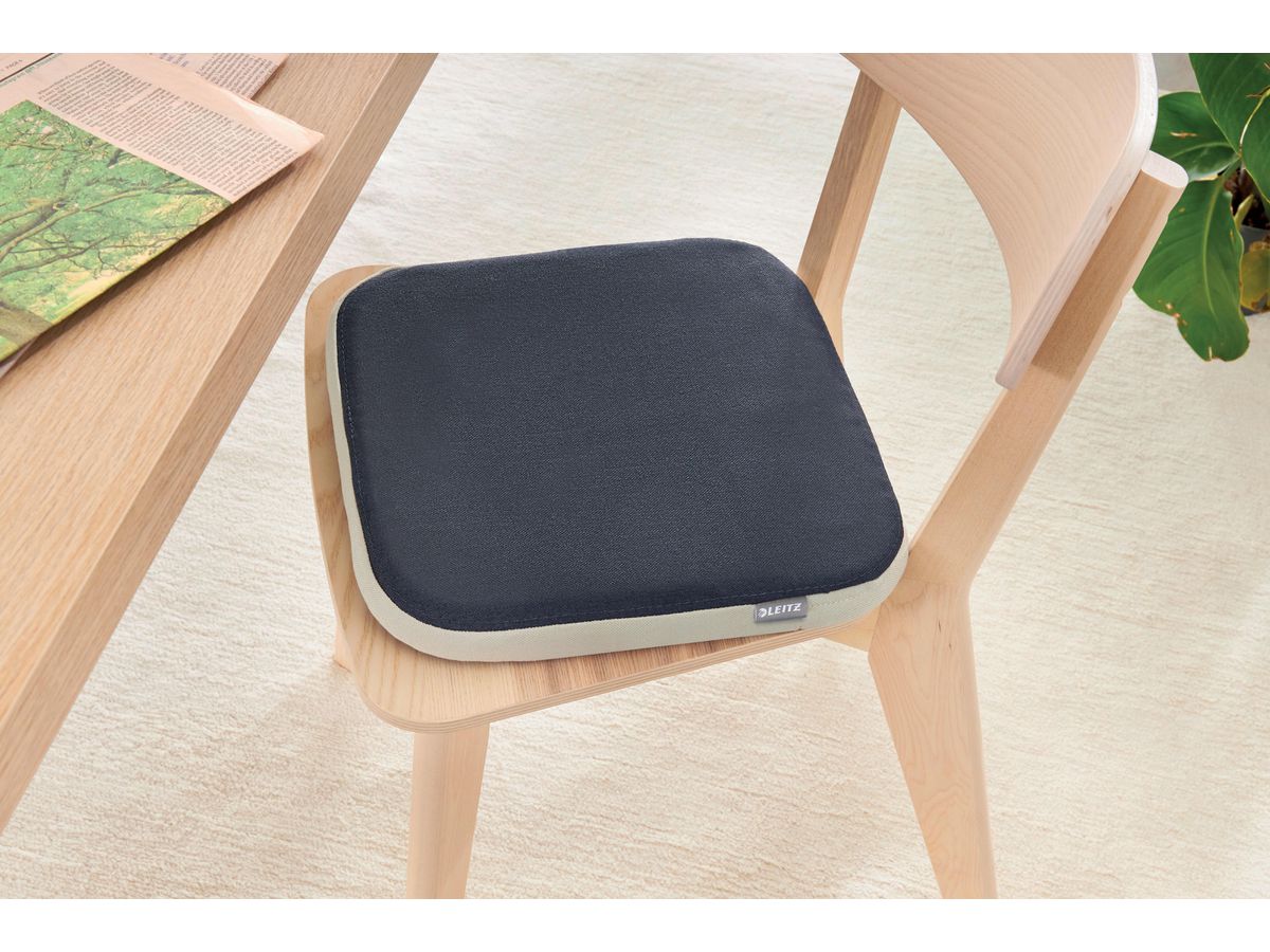 LEITZ Sitzkissen Ergo Active 6540-00-89 samtgrau mit Stoffbezug (4002432134731)
