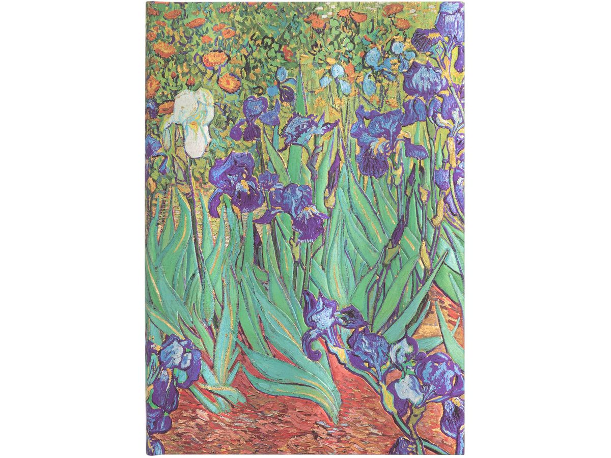 PAPERBLANKS Notizbuch Van Goghs Midi PB8204-0 liniert, 144 S., bunt (9781439782040)