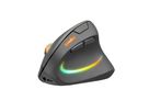 SPEEDLINK PIAVO PRO Illum. Ergo Mouse SL-630026-BK Wireless,Rechargeable,Black (4027301907223)