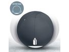 LEITZ Sitzball Ergo Active 55cm 6541-00-89 grau (4002432134755)