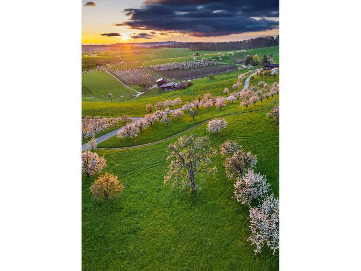 CALENDARIA Calendario 2026 9783036205328 Swiss 23x31.5cm (9783036205328)