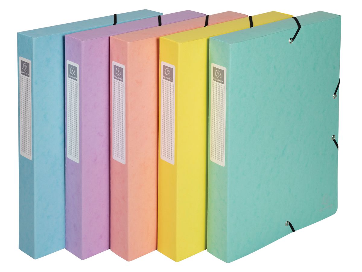 EXACOMPTA Sammelbox Aquarel A4 59560E ass. (3130630595601)