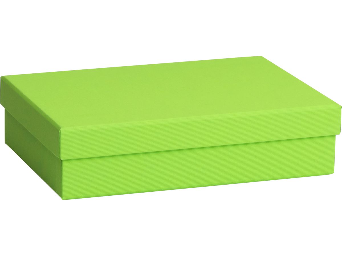 STEWO Geschenkbox One Colour 2551782892 grün hell 16.5x24x6cm (7630050846056)