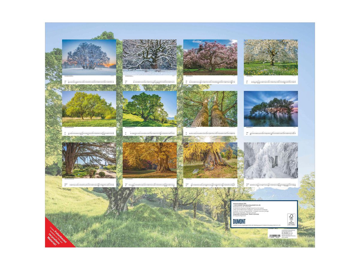 DUMONT Calendrier 2026 260364 Arbres ML 58.4x48.5cm (4069095003644)