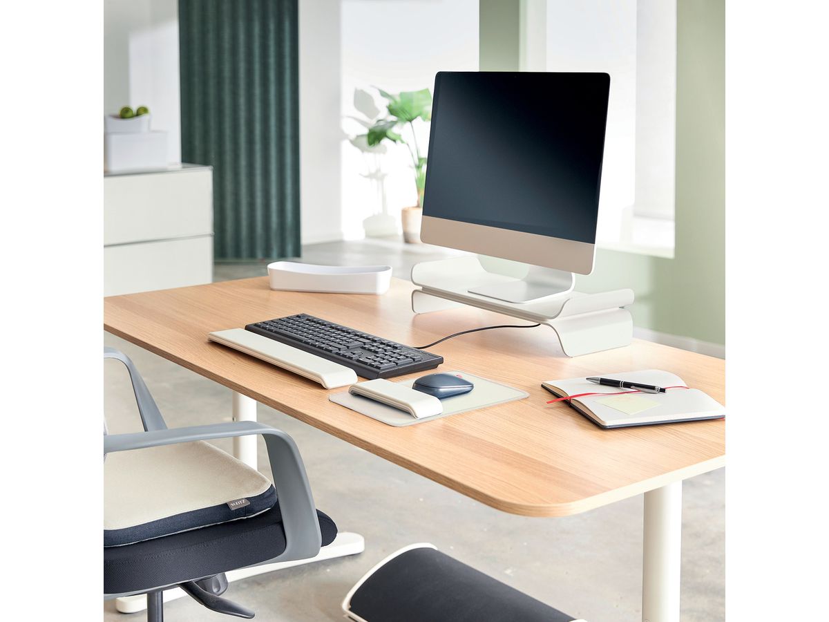 LEITZ Support pour moniteur Ergo 6504-00-85 Gris (4002432134816)