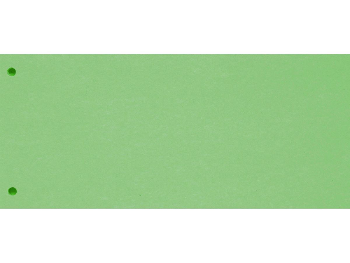 BIELLA Trennstreifen Karton 2 Loch 19919030U grün, 24x10.5cm 100 Stk. (7611365357475)