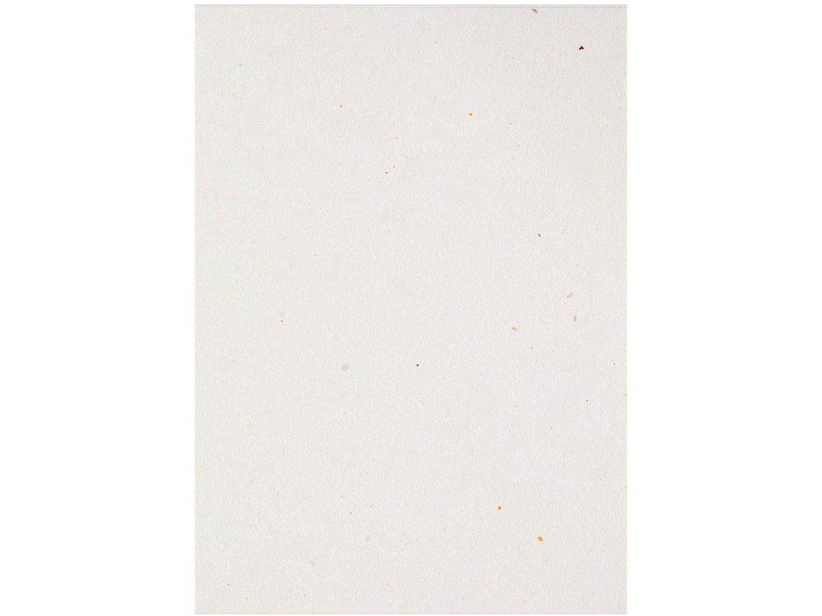 ARTOZ Visitenkarten 1001 A7 19213614-242 216g, tortilla 5 Blatt (7612996882527)