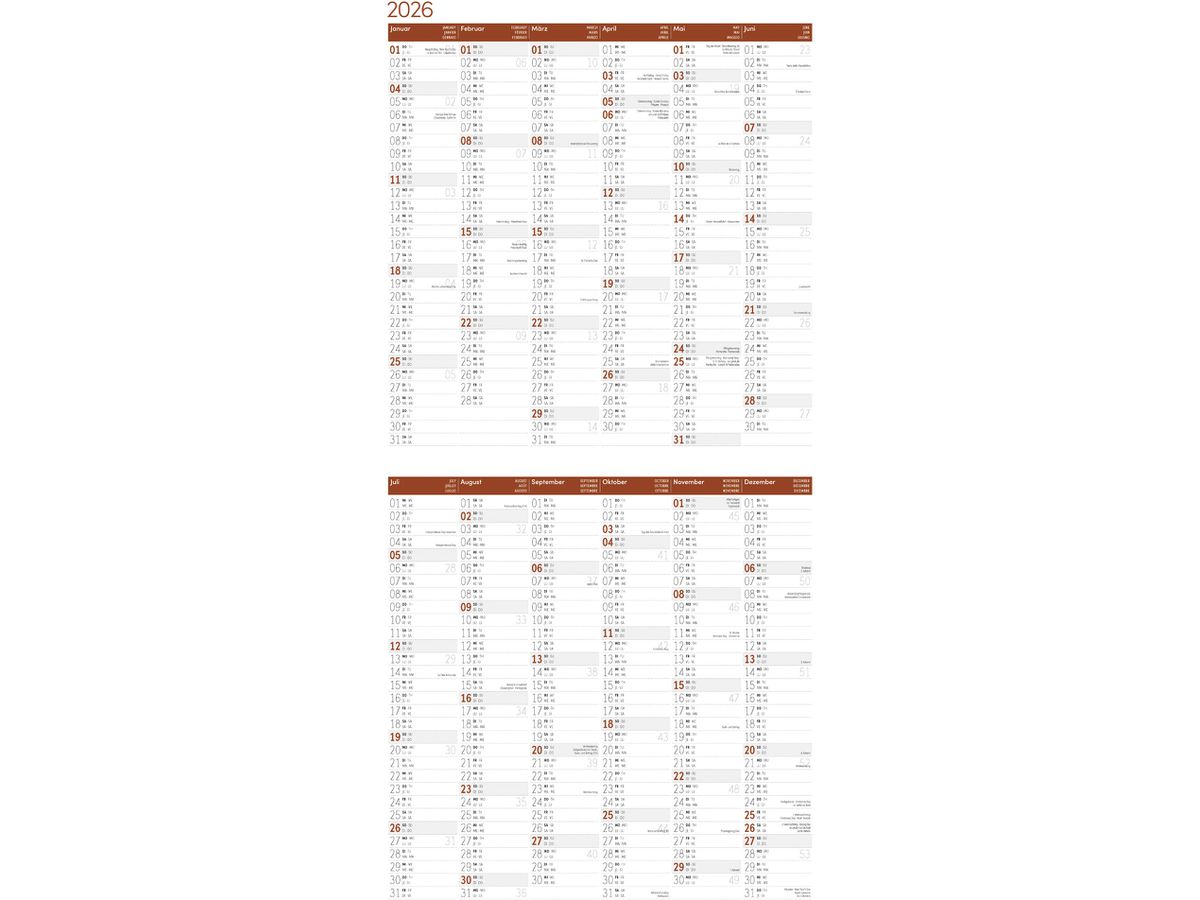 ACKERMANN Calendario 2026 4624 Eulen ML 30x30cm (9783838446240)