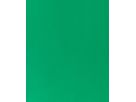 MAREIN Papier de couleur A4 2903008327 120g, vert sapin (8714677254827)