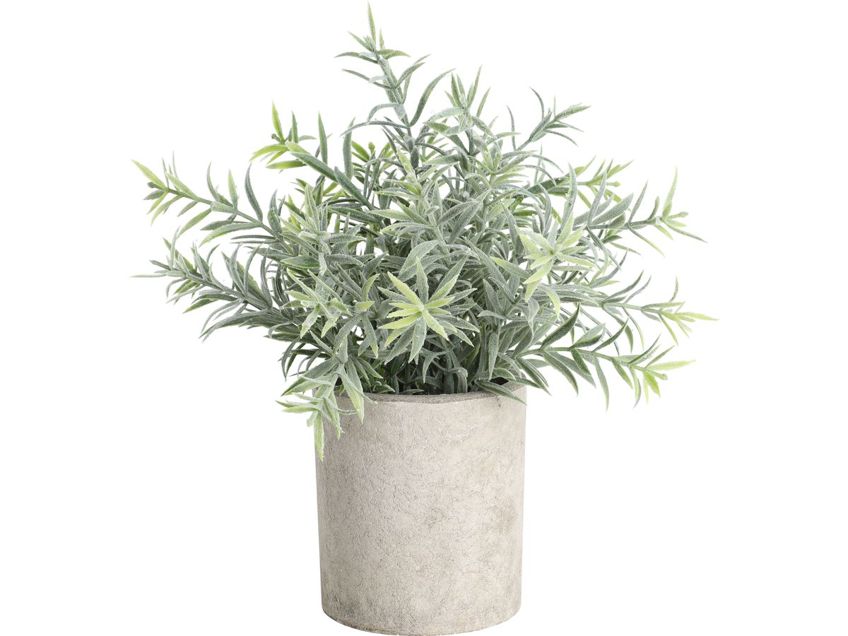 EGLO Kunstpflanze 24cm 428026 grün, im Topf (9008606253449)