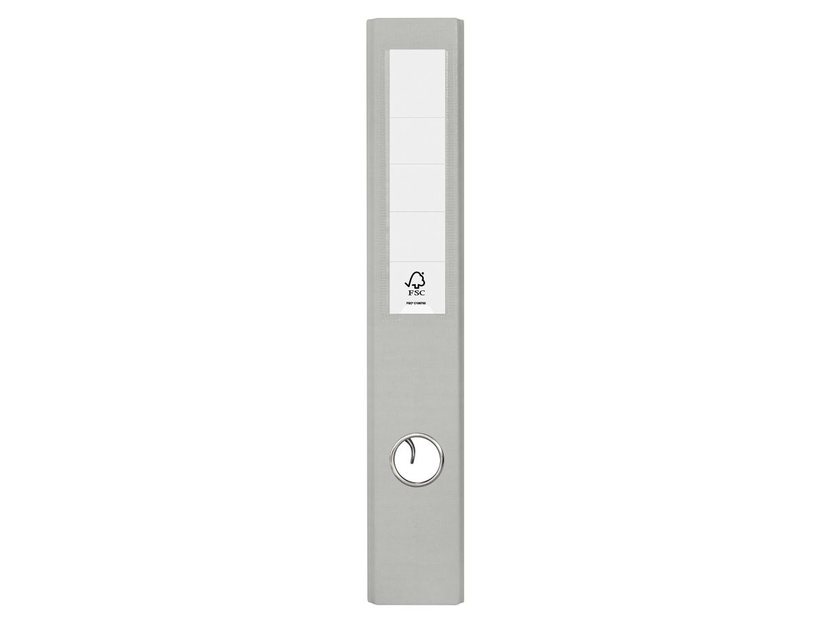 ESSELTE Ordner CH Standard 5cm 624554 grau A4 (4049793044620)