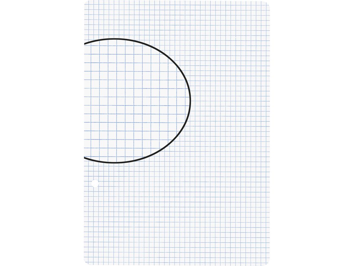 BIELLA Einlageblätter A5 45052400U weiss,kar. 4mm,2-Loch 100Bl. (7611365230266)