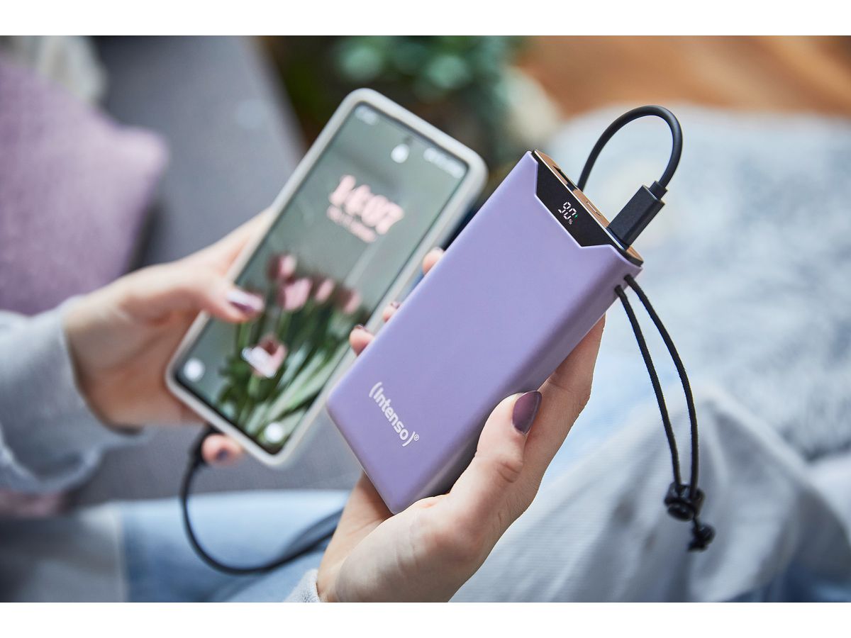 INTENSO Power Bank F10000 Purple 7332033 10000 mAh (4034303034284)