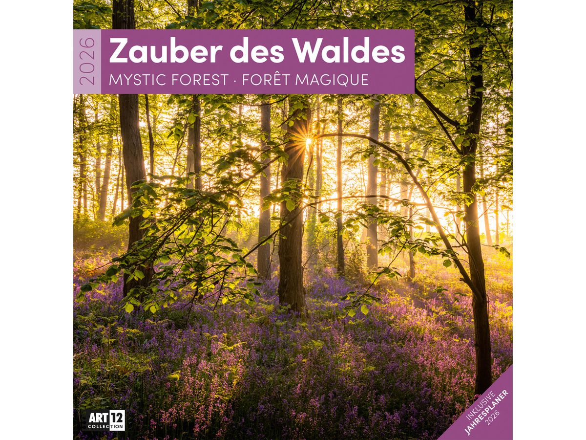 ACKERMANN Calendrier 2026 4611 Zauber des Waldes ML 30x30cm (9783838446110)