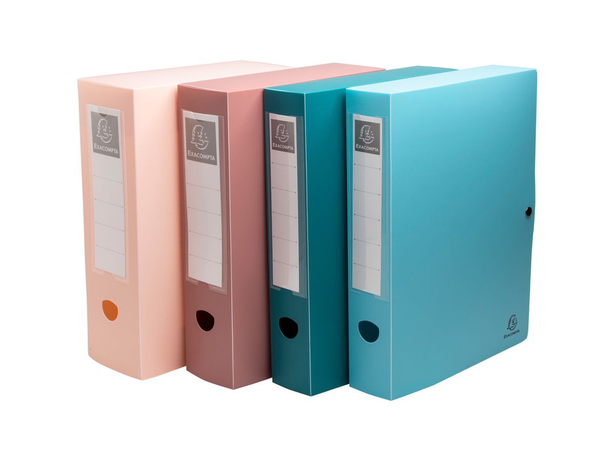 EXACOMPTA Ablagebox Skandi A4 89270E assortiert 60mm (3130630892700)