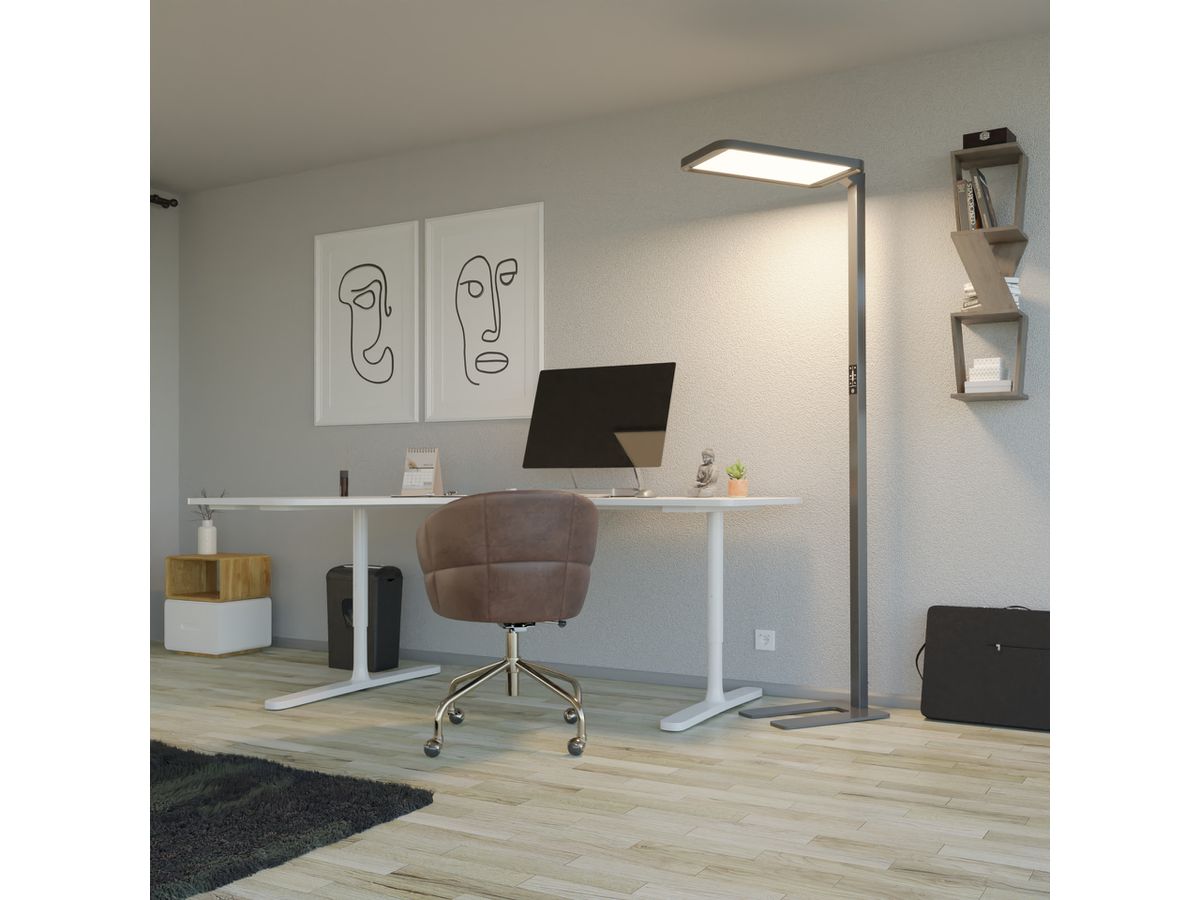 HANSA Stehleuchte Saphir Plus 41-5011.302 anthrazit (7612176094061)