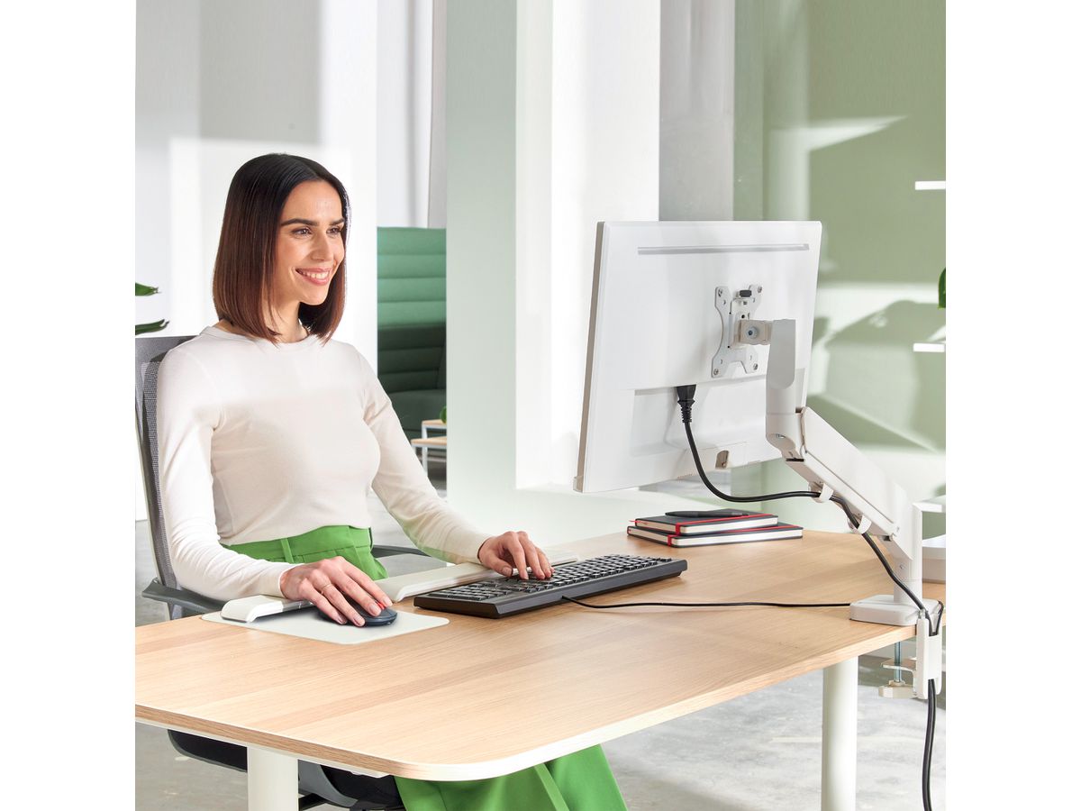 LEITZ Monitorarm Ergo 6489-00-85 Grau, single (4002432134656)