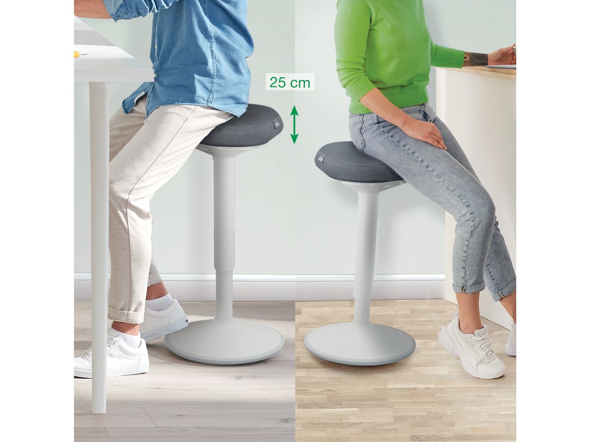 LEITZ Sgabello Ergo Activ 6545-00-85 grigio chiaro (4002432138425)