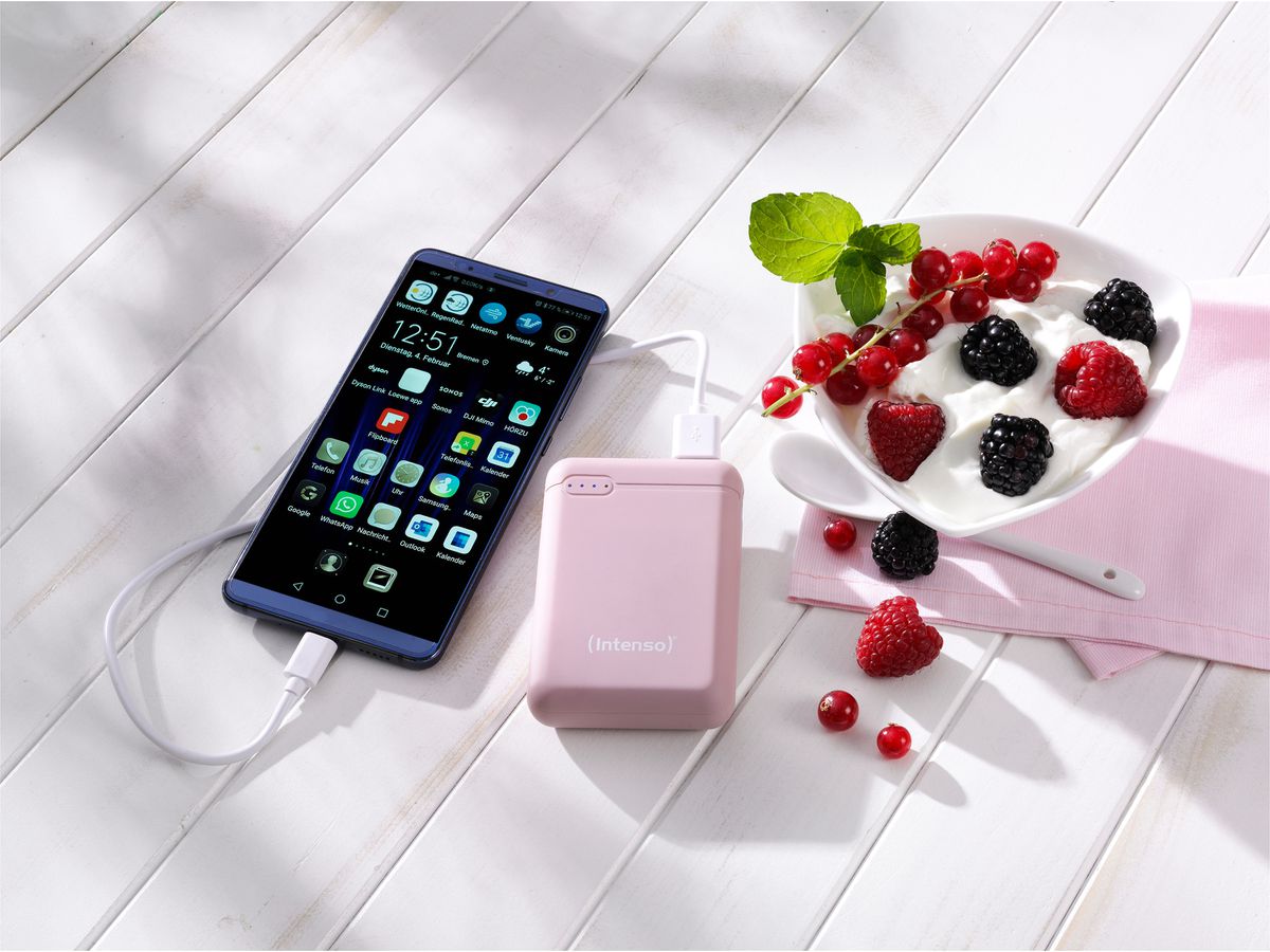 INTENSO Powerbank XS10000 rosé 7313533 10000mAh (4034303028467)