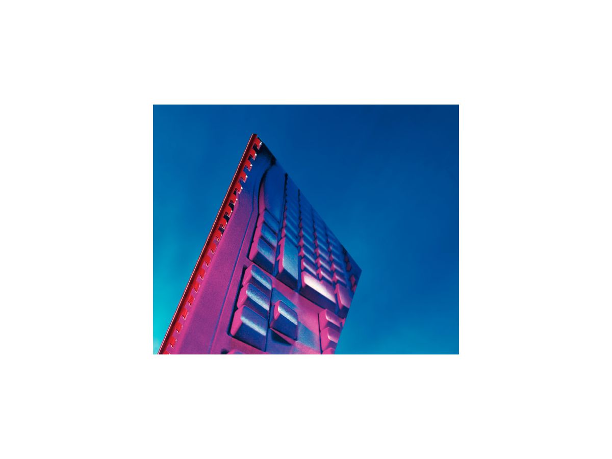 LEITZ Deckblatt für Bindesysteme A4 33681 transparent, 180mic 100 Stück (5411313336819)