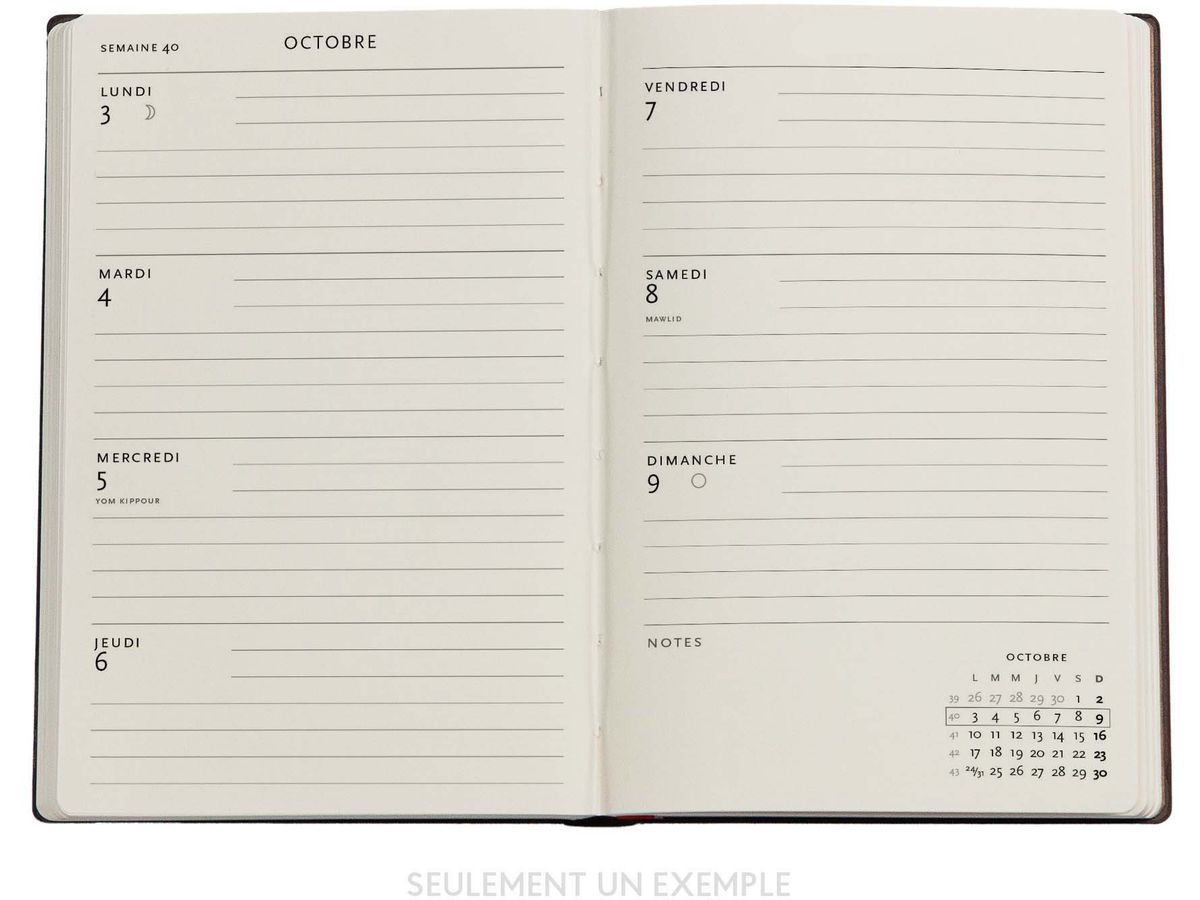 PAPERBLANKS Agenda Wildblumen Mini 26/27 DD1725-8 1S/2P 18M AL HOR HC 9.5x14cm (9780349717258)